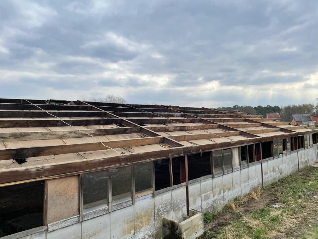 asbest golfplaten dak verwijderen